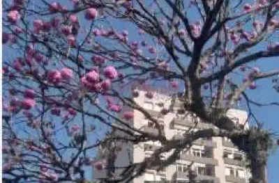 Apartamento com 3 quartos, jardim bela vista, são josé dos campos - r$ 440 mil, cod: 14882