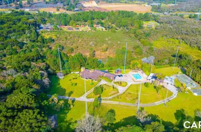 Chácara / sítio com 5 quartos à venda na rua francisco munõz madrid, 350, roseira, são josé dos pinhais por r$ 9.000.000