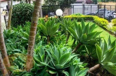 Apartamento à venda, 3 quartos, 1 vaga, vila parque jabaquara - são paulo/sp