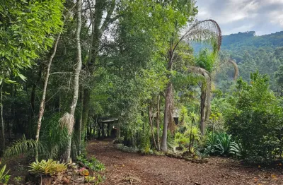 Chácara / sítio à venda na Rodovia BR 116, Linha Gorgen, Morro Reuter