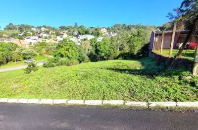 Terreno à venda na Nossa Senhora das Graças, Caxias do Sul 
