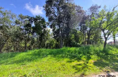 Terreno à venda no Pedancino, Caxias do Sul 
