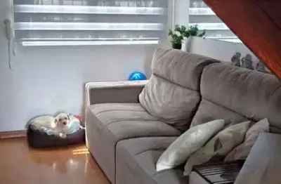 Casa com 2 quartos à venda na Cidade Nova, Caxias do Sul 