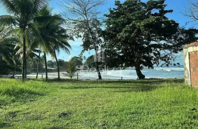 Terreno pé na áreia á venda  em olivença, ilhéus ba