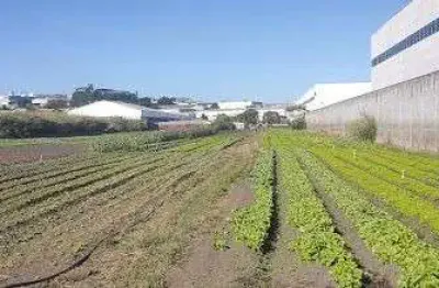 Terreno comercial à venda na Avenida Governador Mario Covas Junior, Portão, Arujá