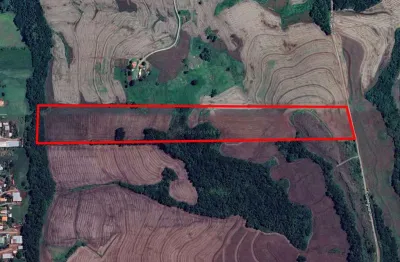 Chácara / sítio à venda na Rua Rural 1, Loteamento São Sebastião, Apucarana