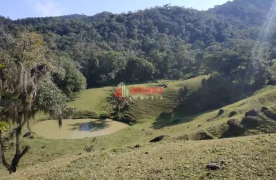 Terreno à venda na Estrada Rio Dos Tamancos, Betania, Angelina
