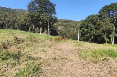 Chácara / sítio à venda na Estrada Geral São Roque, Russia, Biguaçu