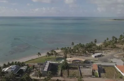 Reserva porangatu – lotes a partir de 450m² na rota ecológica dos milagres (al)