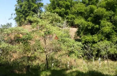 Terreno à venda na Rodovia Doutor Caio Gomes Figueiredo, S/N, Mandú, Pindamonhangaba