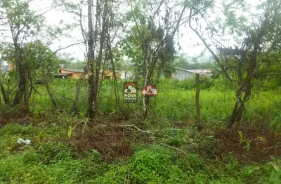 Terreno à venda na Avenida Luiz Saito, S/N, Massaguaçu, Caraguatatuba