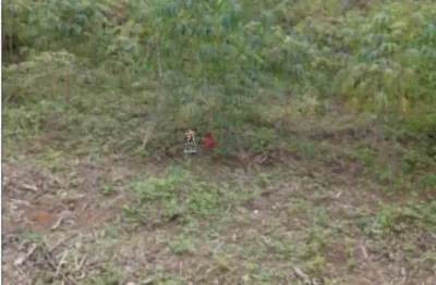 Terreno à venda na Rua José Rachid, S/Nº, Jardim Portugal, São José dos Campos
