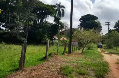 Terreno comercial à venda na Rodovia Vito Ardito, km 117, Jardim Campo Grande, Caçapava