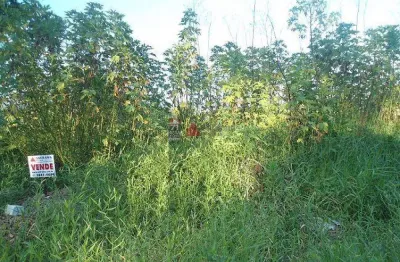 Terreno à venda na Rua dos Gerivas, 000, Parque Lago Azul, Pindamonhangaba