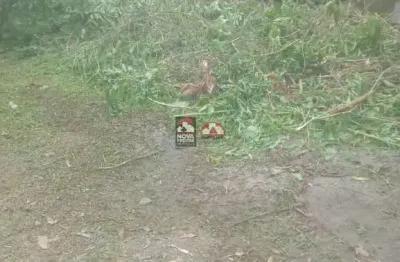 Terreno à venda na Rua Cipriano José Barata De Almeida, Terreno, S/N, Massaguaçu, Caraguatatuba