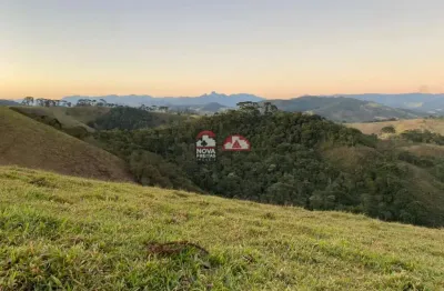 Terreno à venda na Estrada Municipal Targino De Oliveira, Rio Preto, Santo Antônio do Pinhal