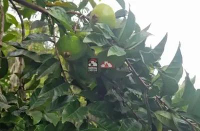 Fazenda à venda na Estrada Municipal Juca Carvalho, 4550, Vila Paiva, São José dos Campos