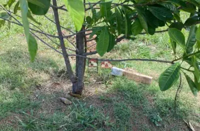 Terreno de 360 m² à venda em condomínio fechado / eugênio de melo, são josé dos campos