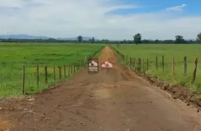 Imperdível - Terrenos planos e bem localizados no Bom Sucesso!