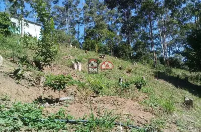 Chácara / sítio com 1 quarto à venda na Chácara Mãe Terra, 2130, Ponte Nova, Monteiro Lobato