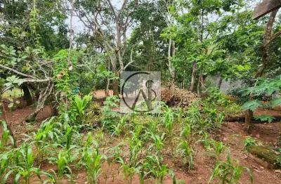 Chácara para venda em senador canedo, sitios para recreio solar das auroras, 2 dormitórios, 1 banheiro, 3 vagas