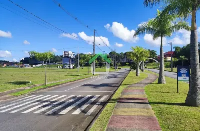 Terreno à venda na Av. Flor De Maracujá, Itinga, Araquari