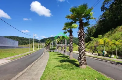 Terreno à venda na Avenida Pref. Alberto Natalino Miquelute, 6350, Itinga, Araquari