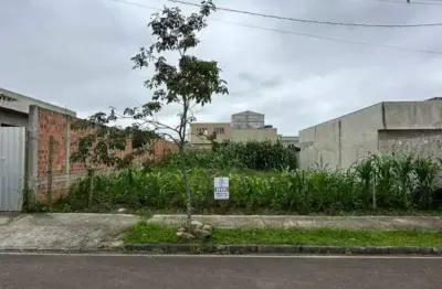 Terreno à venda na Pastor Sebastião Dama Soares, 00, Rio Pequeno, São José dos Pinhais