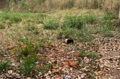 Venda de terreno misto  309 m² com frente para av. presidente vagas indaiatuba sp  ótimo local para galpao com acesso fácil à sp75 !!