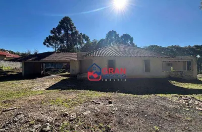 Chácara / sítio com 3 quartos à venda na Rua João Scucato Coradin, Roseira, Campina Grande do Sul