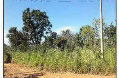 Terreno à venda, 2.229 m² por r$ 163.716 - parque alvorada ii - luziânia/go