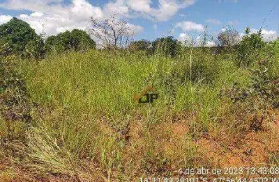 Terreno à venda, 5.000 m² por r$ 284.062 - parque alvorada ii - luziânia/go