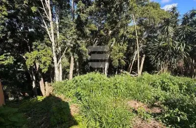 Terreno à venda, 550 m² por r$ 300.000,00 - braunes - nova friburgo/rj