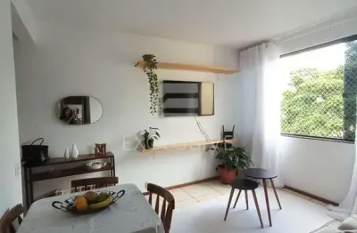 Apartamento com 2 dormitórios à venda, 47 m² olaria- nova friburgo/rj