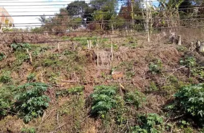 Terreno à venda no Cônego, Nova Friburgo 