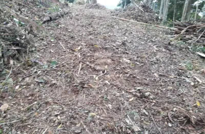 Ótimo terreno de 2231 mts²  no centro da cidade, perto de comércios locais