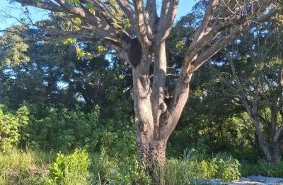 Terreno à venda na Rua Goitacazes, 160, Laranjeiras Velha, Serra
