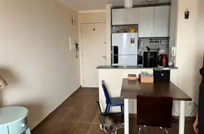 Apartamento à venda cond. tropical vila lusitânia, 48m2, 2 dorm's, 1 vaga