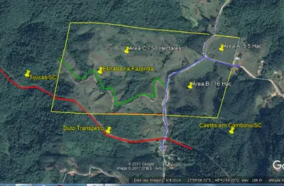 Chácara / sítio à venda na Área Rural, Área Rural de Camboriú, Camboriú