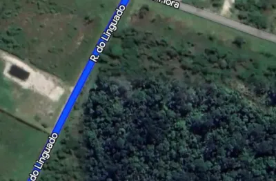 Terreno à venda na Rua Geral do Forte, Praia do Ervino, São Francisco do Sul