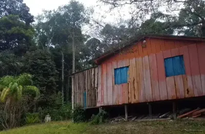 Sítio aconchegante na br 174, km 15, várias árvores frutíferas