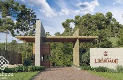 Lote para venda em liberdade / mg no bairro fazenda liberdade