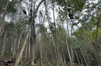 Terreno à venda em Ipiabas, Barra do Piraí 