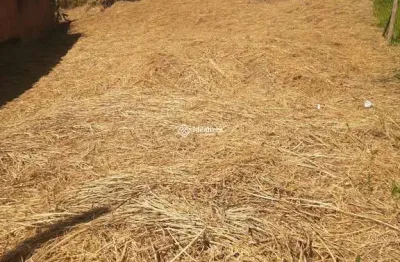 Terreno à venda na Vila Orlandelia, Barra Mansa 