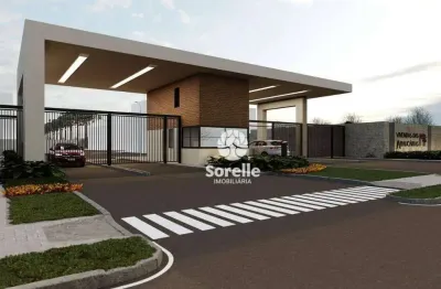 Terreno à venda, 260 m² por r$ 572.000,00 - rio pequeno - são josé dos pinhais/pr