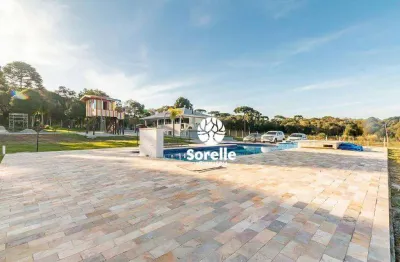 Chácara com 3 dormitórios à venda, 12000 m² por r$ 2.550.000,00 - jurema - são josé dos pinhais/pr