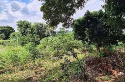 Terreno residencial à venda, pinheirinho, vinhedo - te0593.