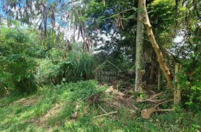 Terreno residencial à venda, cachoeira, vinhedo - te0663.