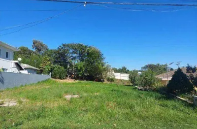 Terreno residencial à venda, centro, vinhedo - te0790.