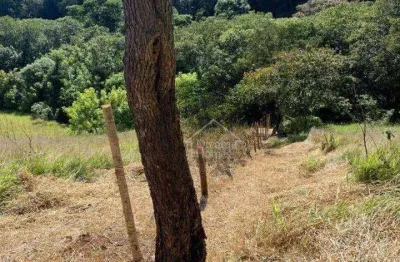 Área comercial à venda, quintas de maria elvira, santana de parnaíba - ar0068.